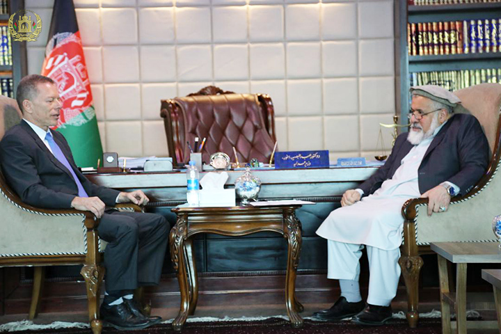 Minister of Justice Meets the Director of International Law Development Organization (IDLO)
